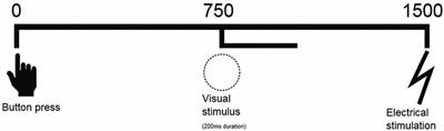 Pain Processing in a Social Context and the Link with Psychopathic Personality Traits—An Event-Related Potential Study